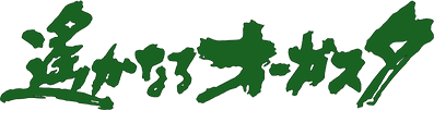 Amazon.co.jp: 【箱付き】SFC 遥かなるオーガスタ new 3D golf